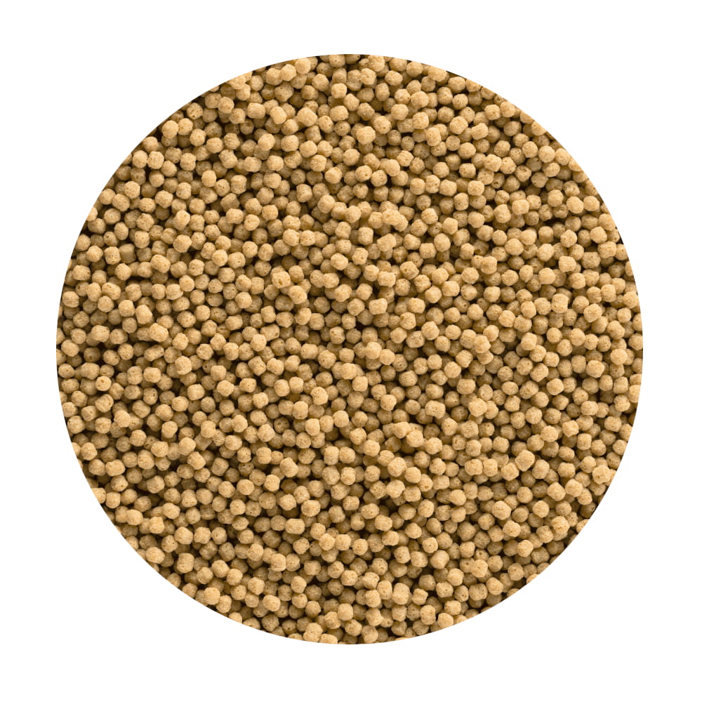Tetra_Pond_Pellets_ .jpg